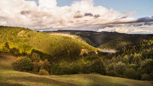 paysage-lozere-1430-Modifier-1600-froggys-photo-nwm